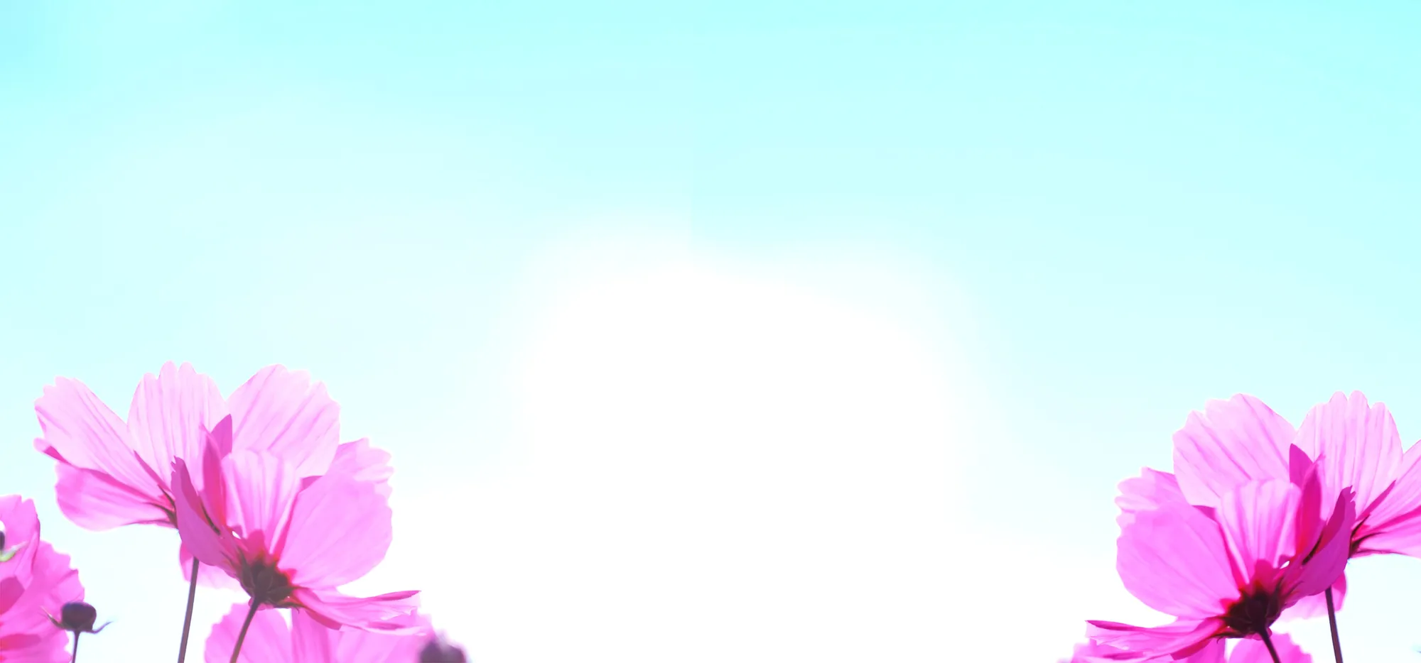 EmoJoya banner